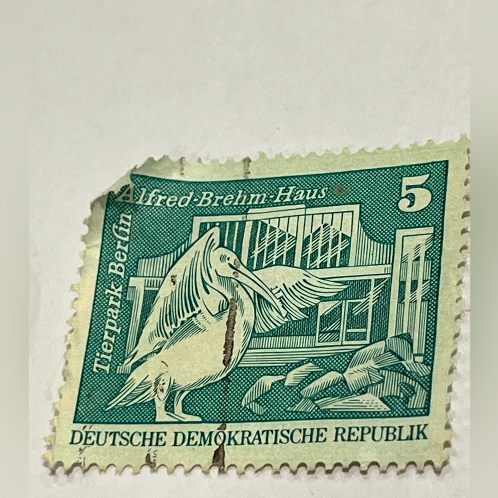 Vintage Old Used Deutsche Demokratische Republik Tierpark Berlin Postage Stamp
